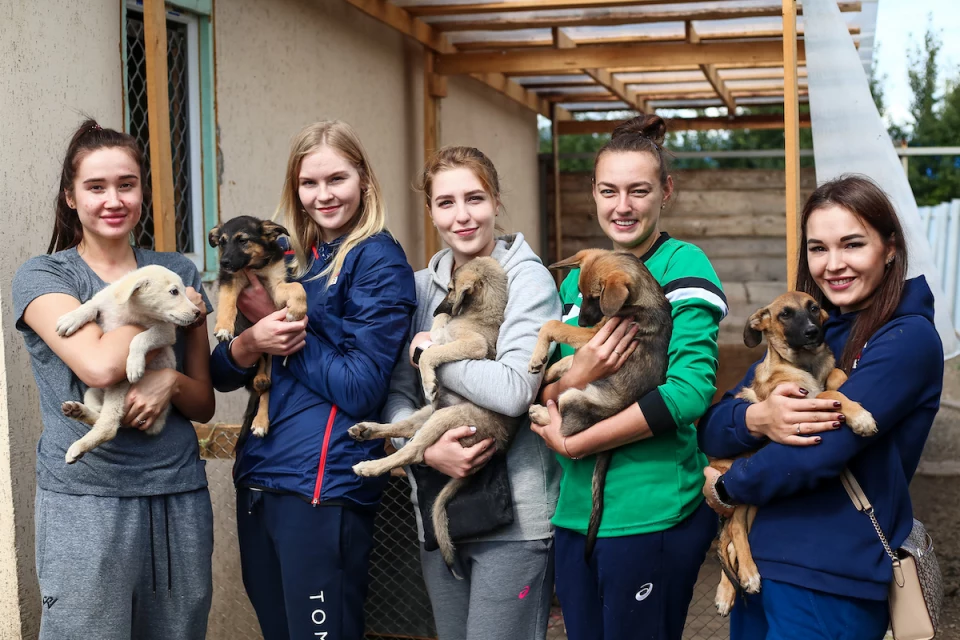 «Уралочки» в приюте для собак Big Dog. 13 августа 2020