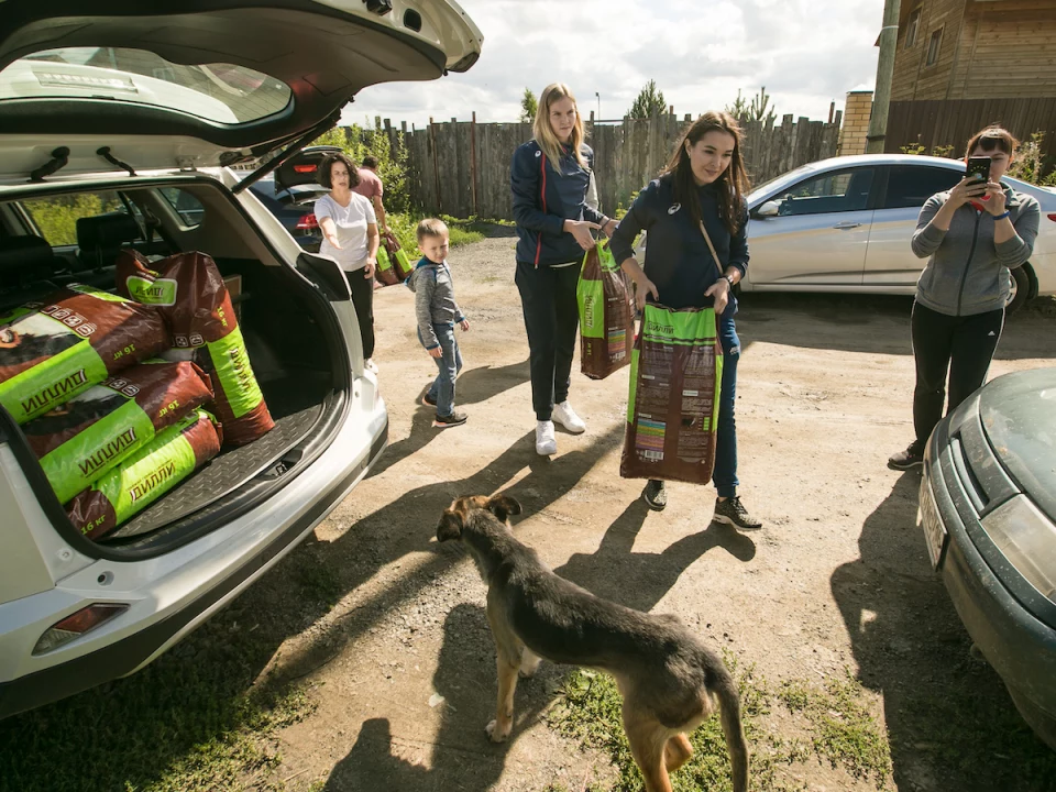 «Уралочки» в приюте для собак Big Dog. 13 августа 2020