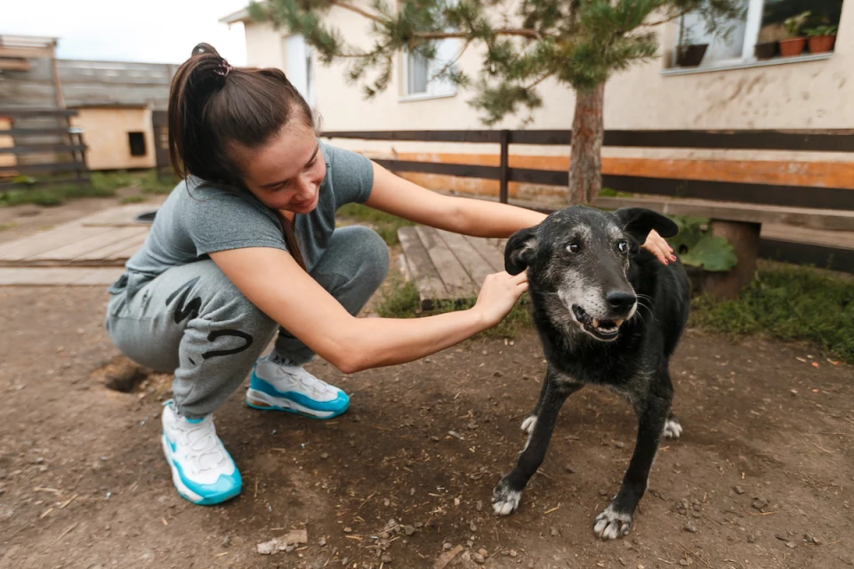 «Уралочки» в приюте для собак Big Dog. 13 августа 2020